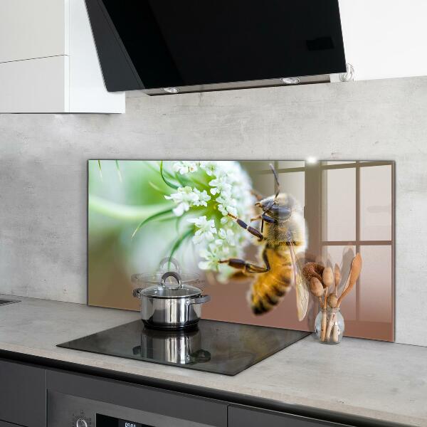 Küchenrückwand Spritzschutz Biene sammelt Pollen