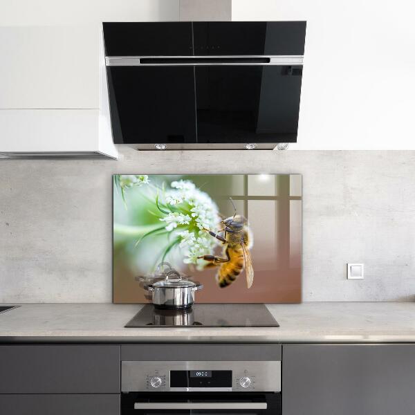 Küchenrückwand Spritzschutz Biene sammelt Pollen