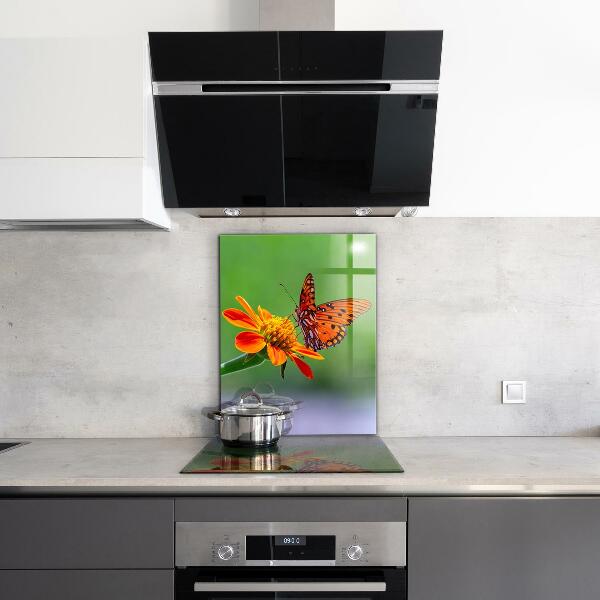 Küchenrückwand Spritzschutz Schmetterling auf einer Sommerblume