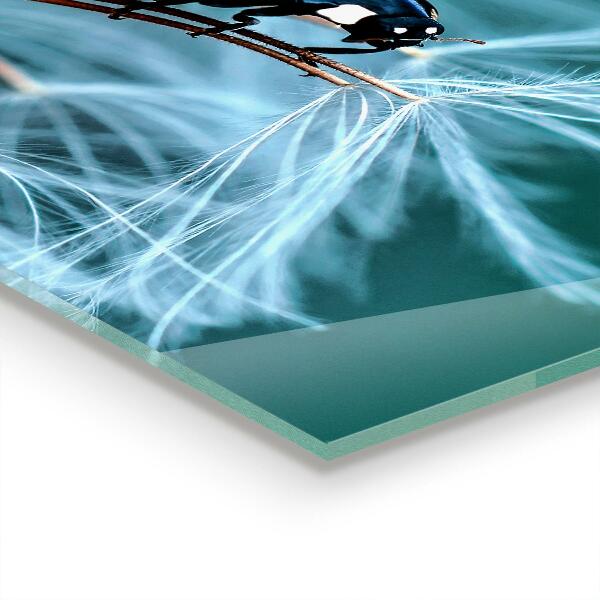 Küchenrückwand Spritzschutz Marienkäfer Roter Käfer