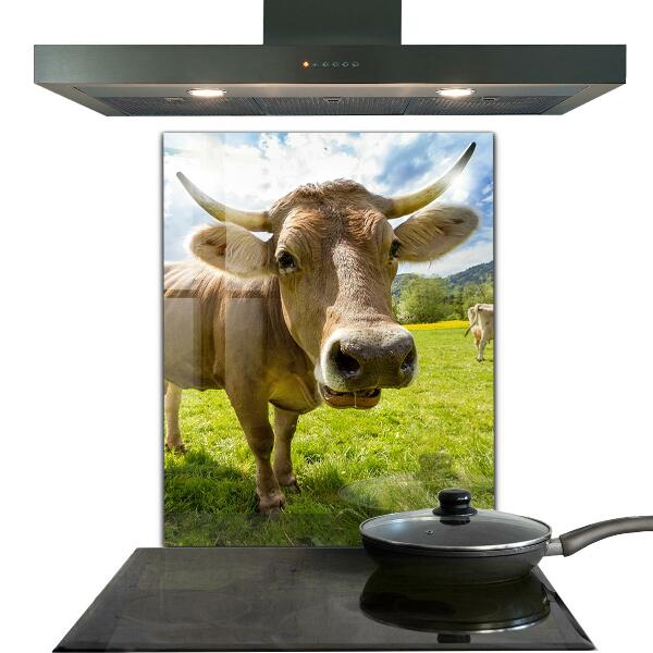 Küchenrückwand Spritzschutz Ländliches Klima Krowa Pole