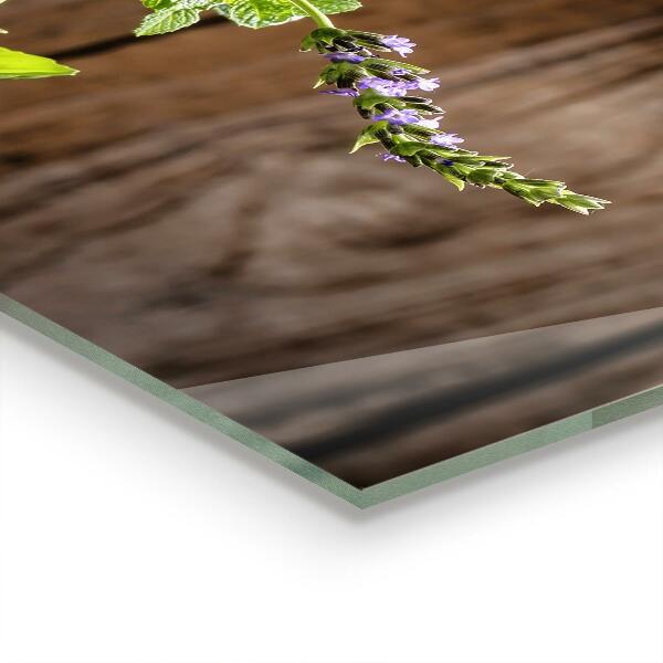 Küchenrückwand Spritzschutz Steinmörsergewürze