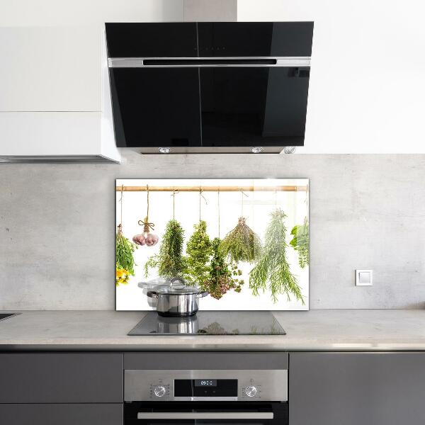 Küchenrückwand Spritzschutz Getrocknete Kräuter Kräutermedizin