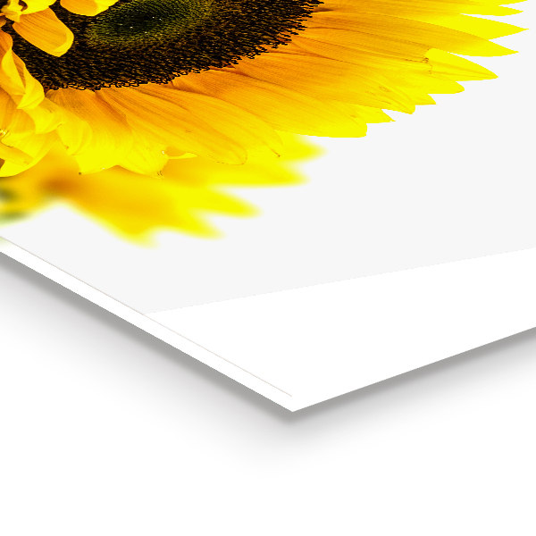 Küchenrückwand Fliesenspiegel Sommerlicher Sonnenblumenstrauß