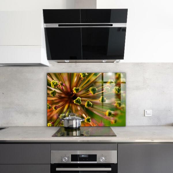 Küchenrückwand Fliesenspiegel Blumen-Makrofotografie