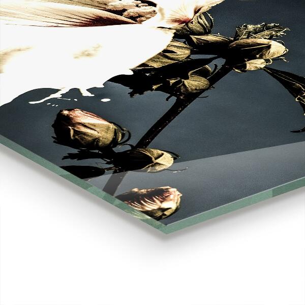 Küchenrückwand Fliesenspiegel Abstrakte weiße Blume