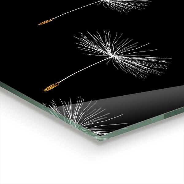 Küchenrückwand Fliesenspiegel Löwenzahn im Wind