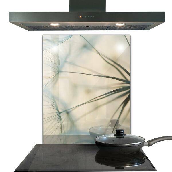 Küchenrückwand Fliesenspiegel Wunderschöner zarter Löwenzahn