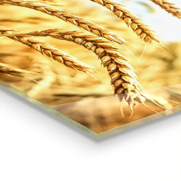 Küchenrückwand Fliesenspiegel Getreidegeschenke von Mutter Natur