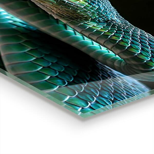 Küchenrückwand Spritzschutz Schlangen-Tierwelt