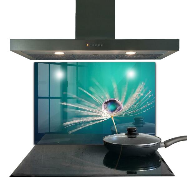 Küchenrückwand Fliesenspiegel Löwenzahn mit Tautropfen