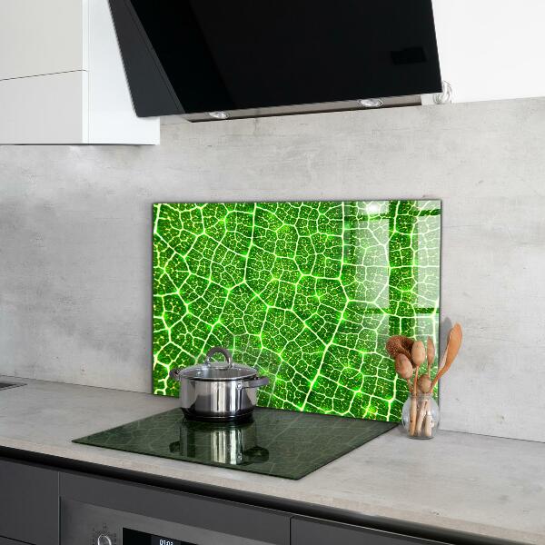 Küchenrückwand Fliesenspiegel Die Kraft der grünen Botanik