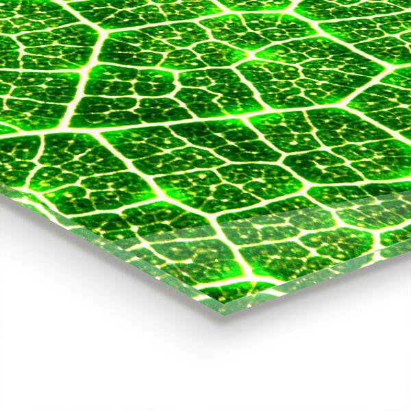 Küchenrückwand Fliesenspiegel Die Kraft der grünen Botanik