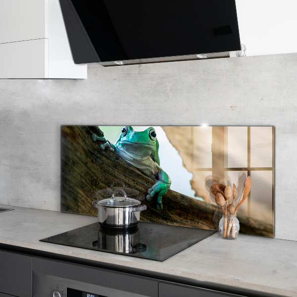 Küchenrückwand Spritzschutz Afrikanisches Froschporträt