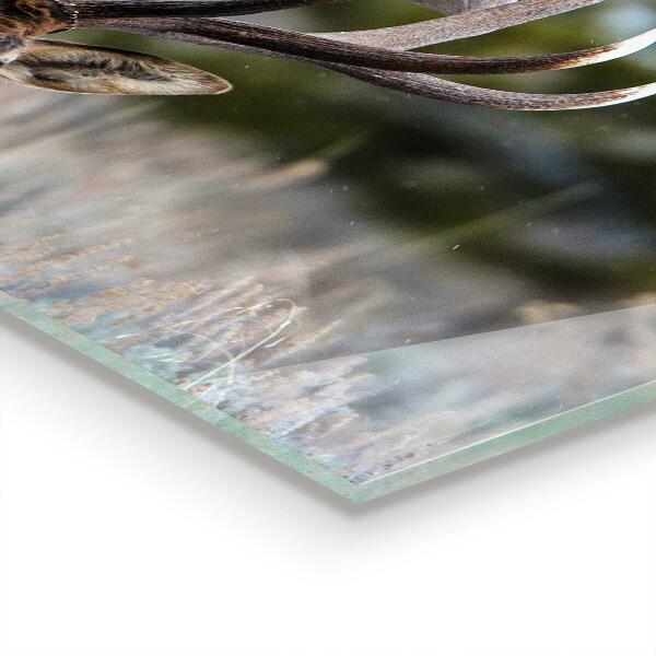 Küchenrückwand Spritzschutz Hirschwildnis