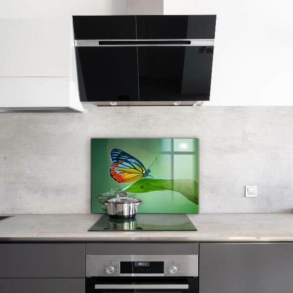 Küchenrückwand Spritzschutz Schmetterling ruht auf einem Blatt