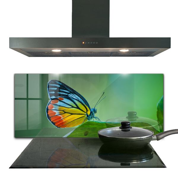 Küchenrückwand Spritzschutz Schmetterling ruht auf einem Blatt