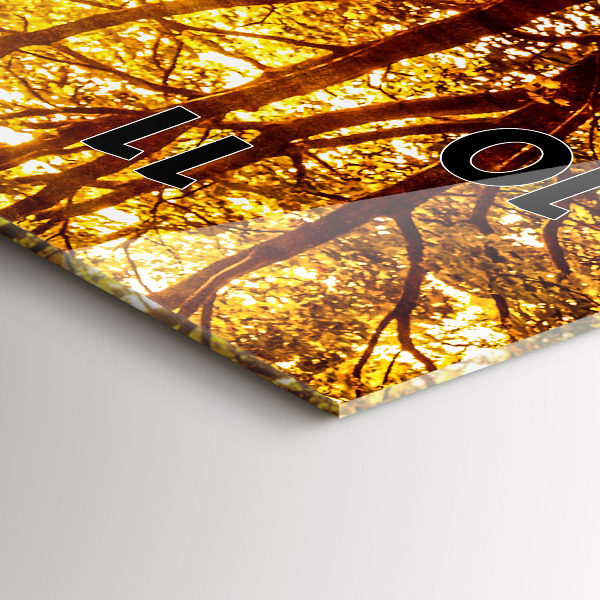 Vertikale Uhr Waldlandschaft in der Sonne