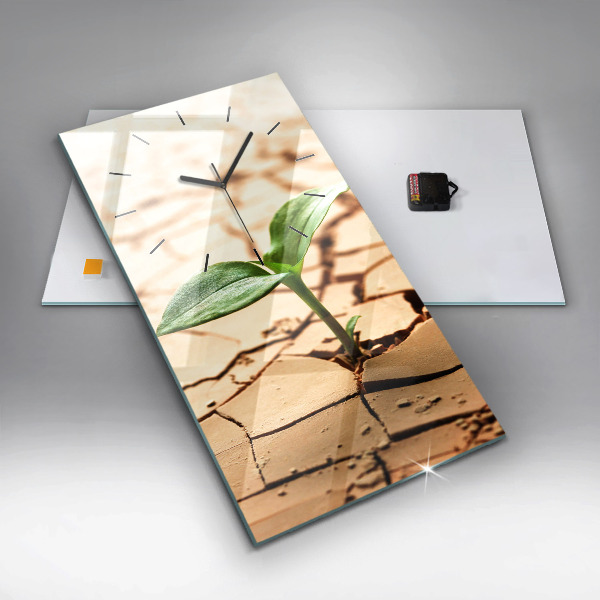 Vertikale Uhr Pflanze in getrockneter Erde