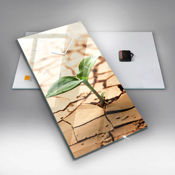 Vertikale Uhr Pflanze in getrockneter Erde