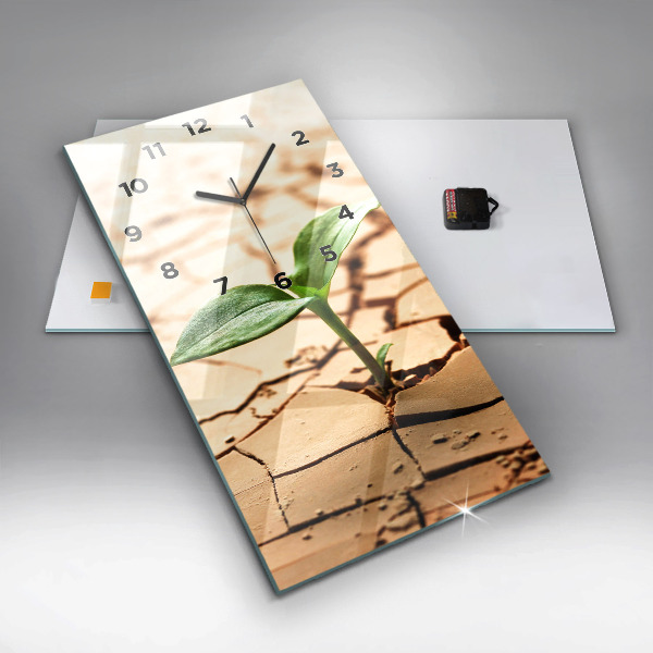 Vertikale Uhr Pflanze in getrockneter Erde