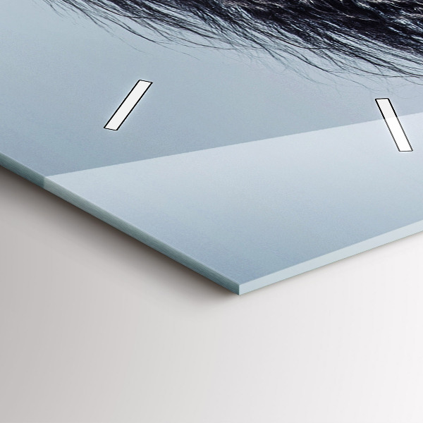 Vertikale Uhr mit motiv Galoppierendes weißes Pferd