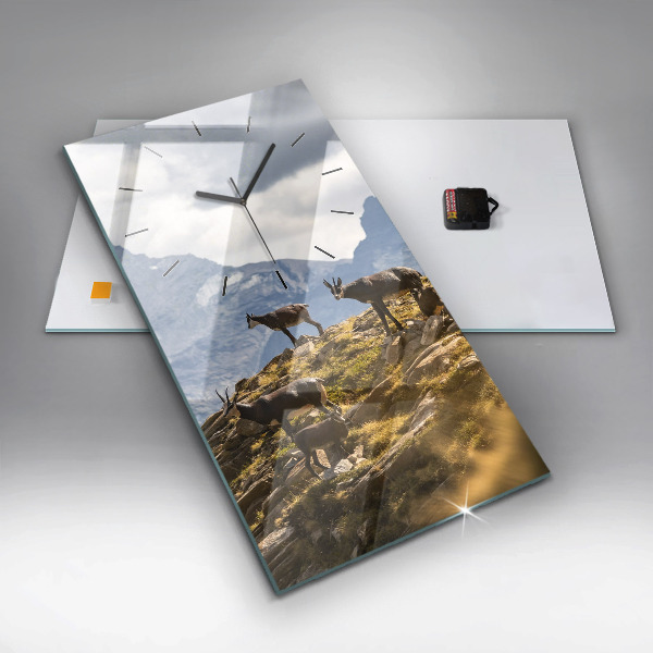 Vertikale Uhr Ziege im Aosta-Tal