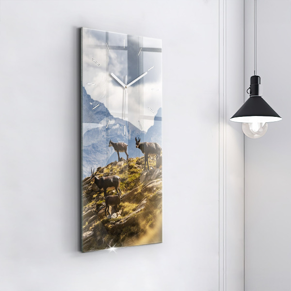 Vertikale Uhr Ziege im Aosta-Tal