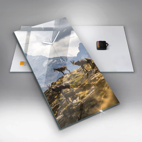 Vertikale Uhr Ziege im Aosta-Tal