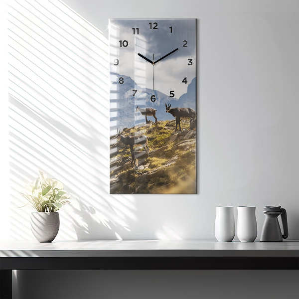 Vertikale Uhr Ziege im Aosta-Tal