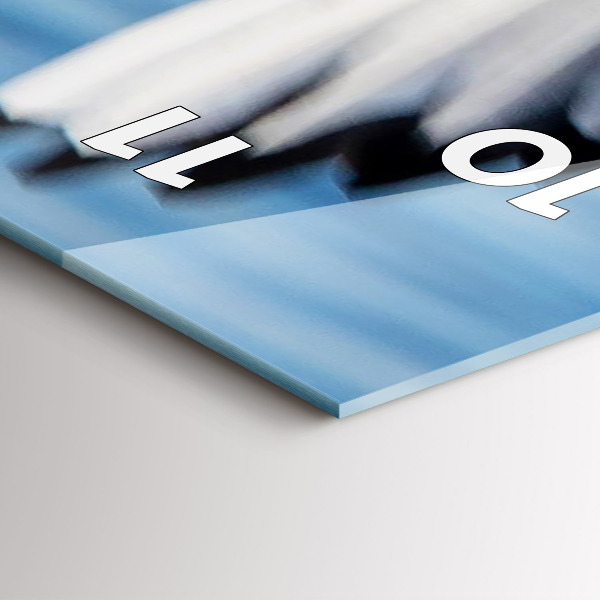 Vertikale Uhr mit motiv Seemöwen in Gdynia