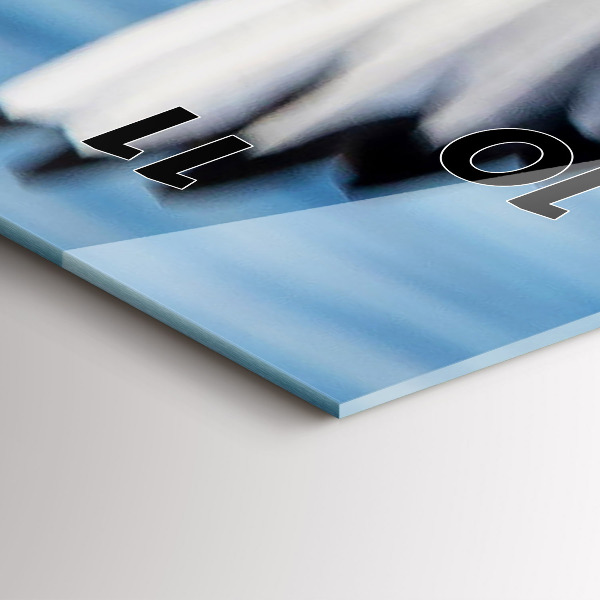 Vertikale Uhr mit motiv Seemöwen in Gdynia