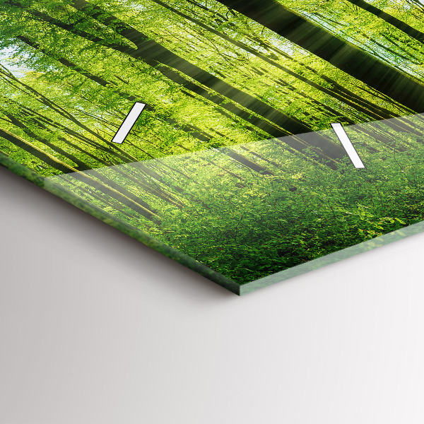 Horizontale Uhr mit motiv Natur Wald Bäume