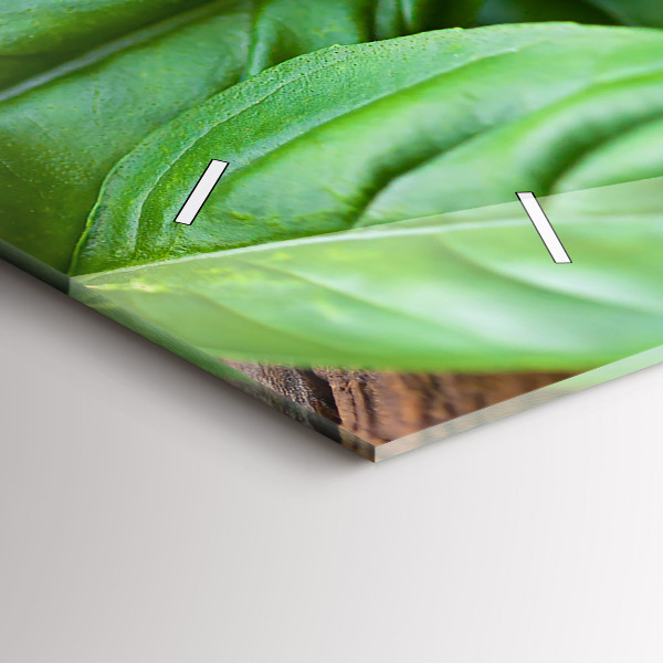 Horizontale Uhr Basilikumblätter