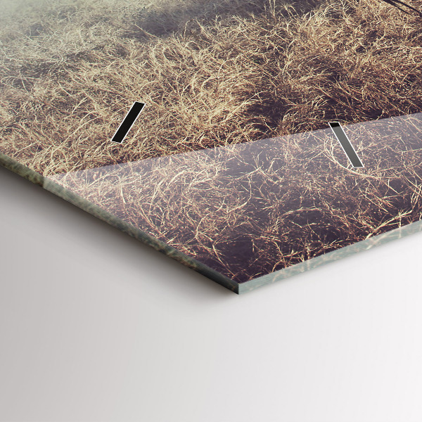 Horizontale Uhr Zebra - Abstraktion