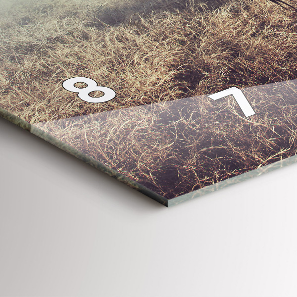 Horizontale Uhr Zebra - Abstraktion