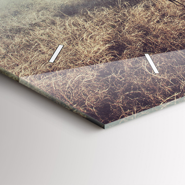 Horizontale Uhr Zebra - Abstraktion