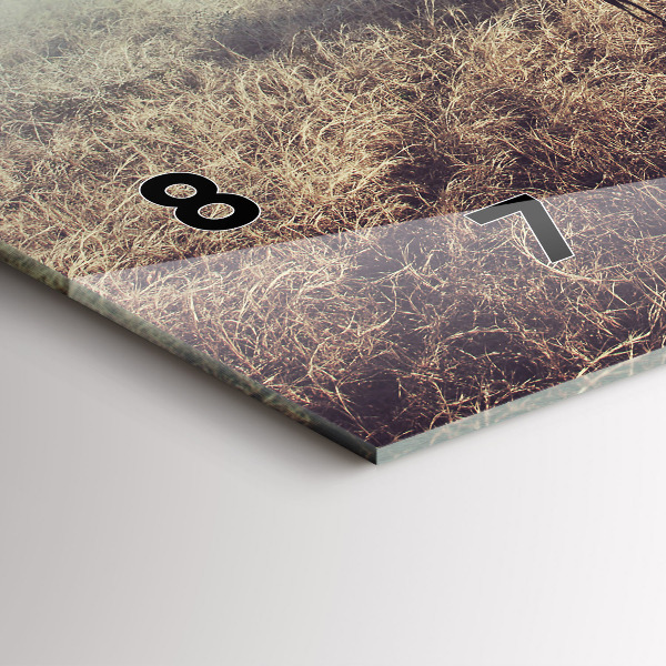 Horizontale Uhr Zebra - Abstraktion