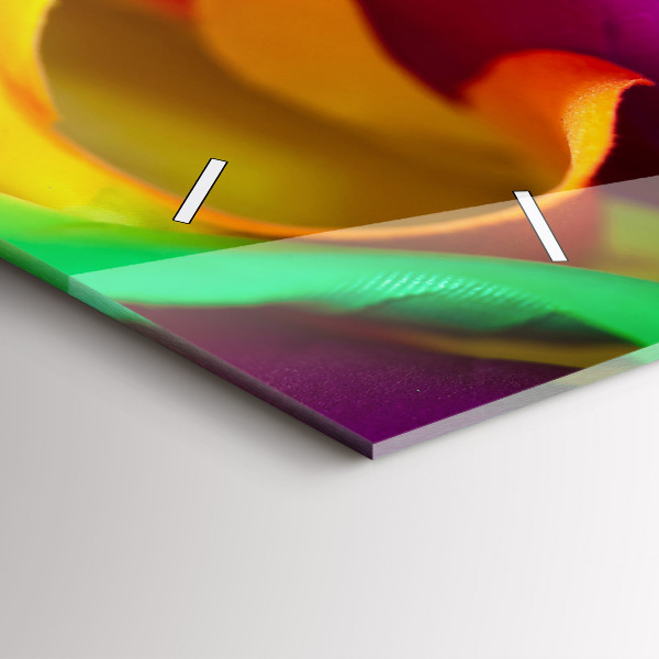 Horizontale Uhr Regenbogenrose