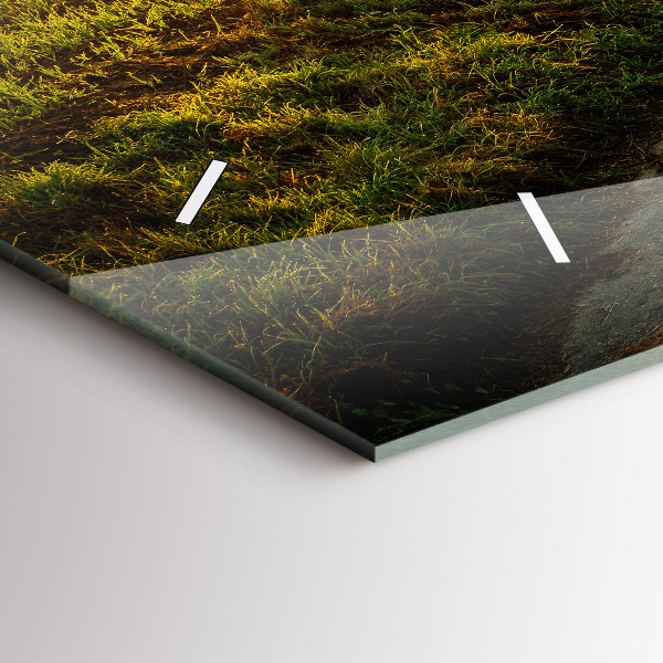 Horizontale Uhr Nebel bei Sonnenaufgang