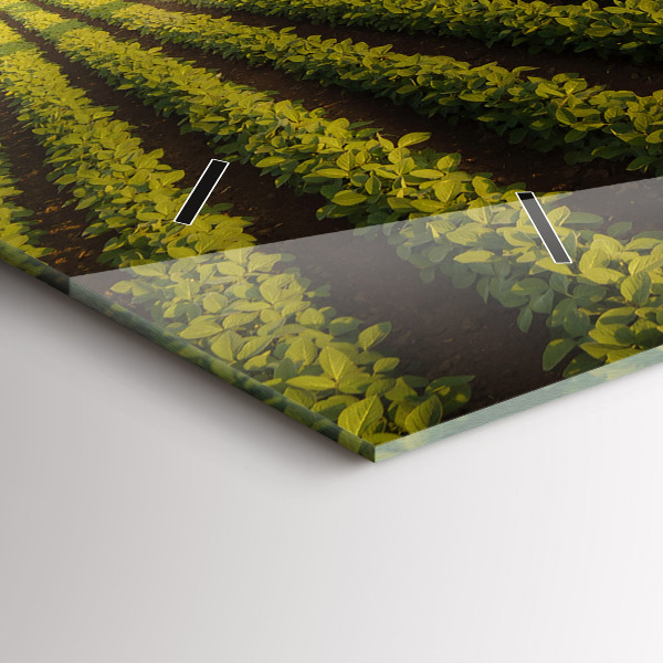 Horizontale Uhr mit motiv Traktor sprüht ein Feld