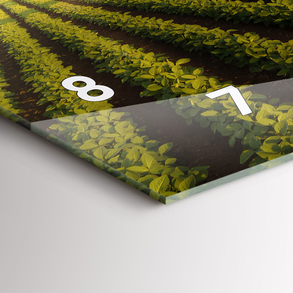 Horizontale Uhr mit motiv Traktor sprüht ein Feld