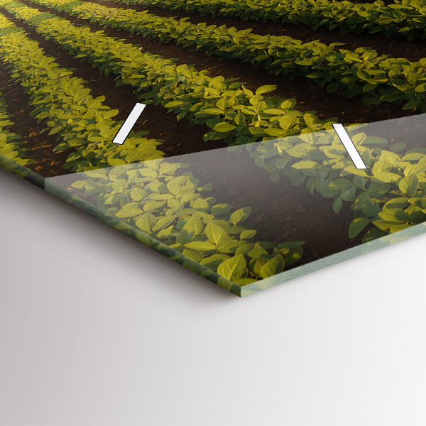 Horizontale Uhr mit motiv Traktor sprüht ein Feld