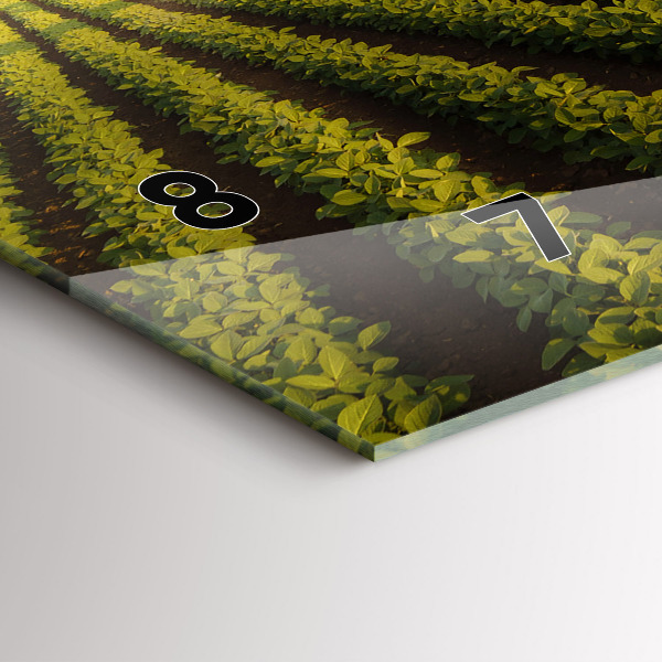 Horizontale Uhr mit motiv Traktor sprüht ein Feld