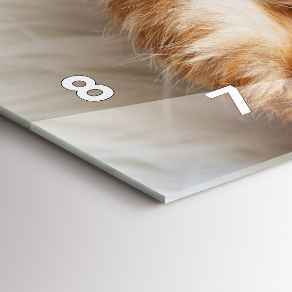 Horizontale Uhr Kleine Katze schlafend