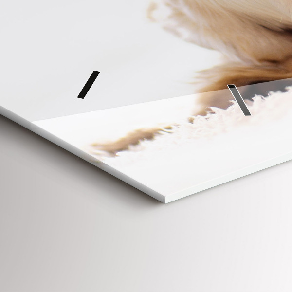 Horizontale Uhr mit motiv Schlafende Katze und Hund