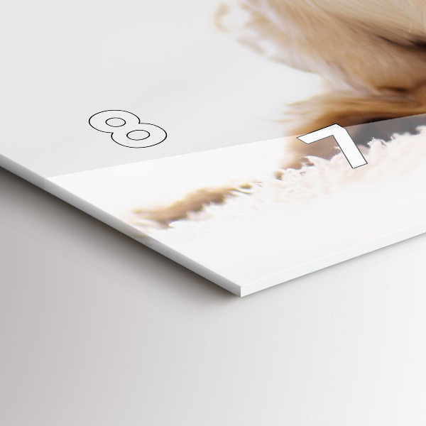 Horizontale Uhr mit motiv Schlafende Katze und Hund