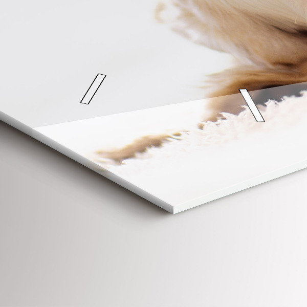 Horizontale Uhr mit motiv Schlafende Katze und Hund