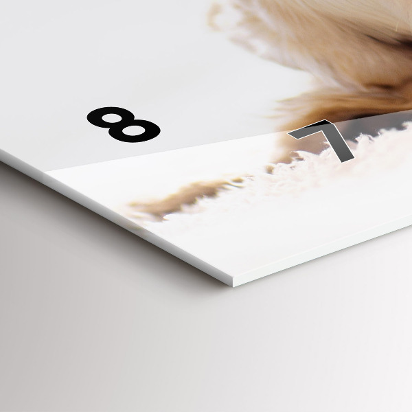 Horizontale Uhr mit motiv Schlafende Katze und Hund