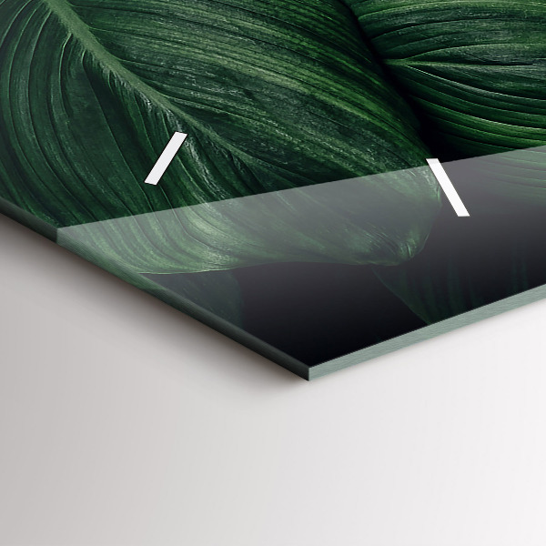 Horizontale Uhr Tropische Monstera